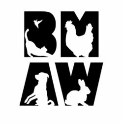 Behavior Medicine and Animal Welfare Club at UC Davis